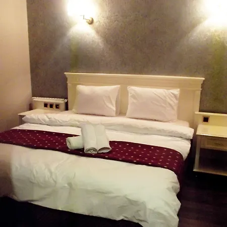 酒店 Golden Gate Topkapi 3*