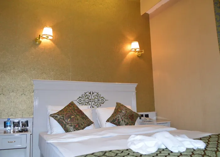 Golden Gate Topkapi Hotel Provincia di Istanbul